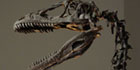 Deinonychus facts for kids