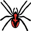 Make a Spider Activity