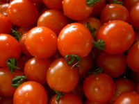 Tomatoes