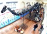 Diplodocus skeleton