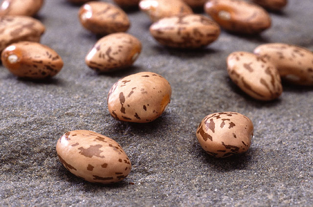 This photo features pinto beans. Pinto beans are often used for refried beans and are common in Mexican dishes.