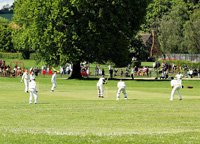 Cricket field